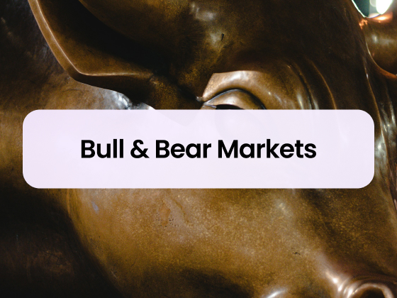 Guide to Bull and Bear Crypto Markets